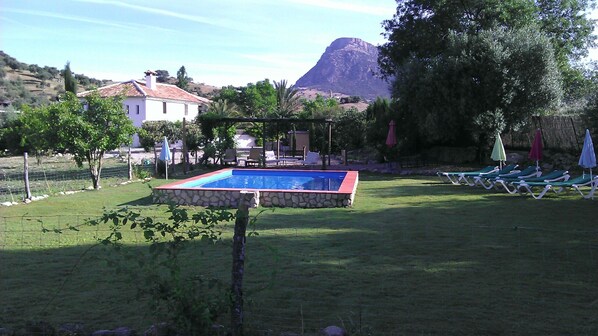 Una piscina con borde de piedra, rodeada de césped con sillas de descanso y sombrillas.