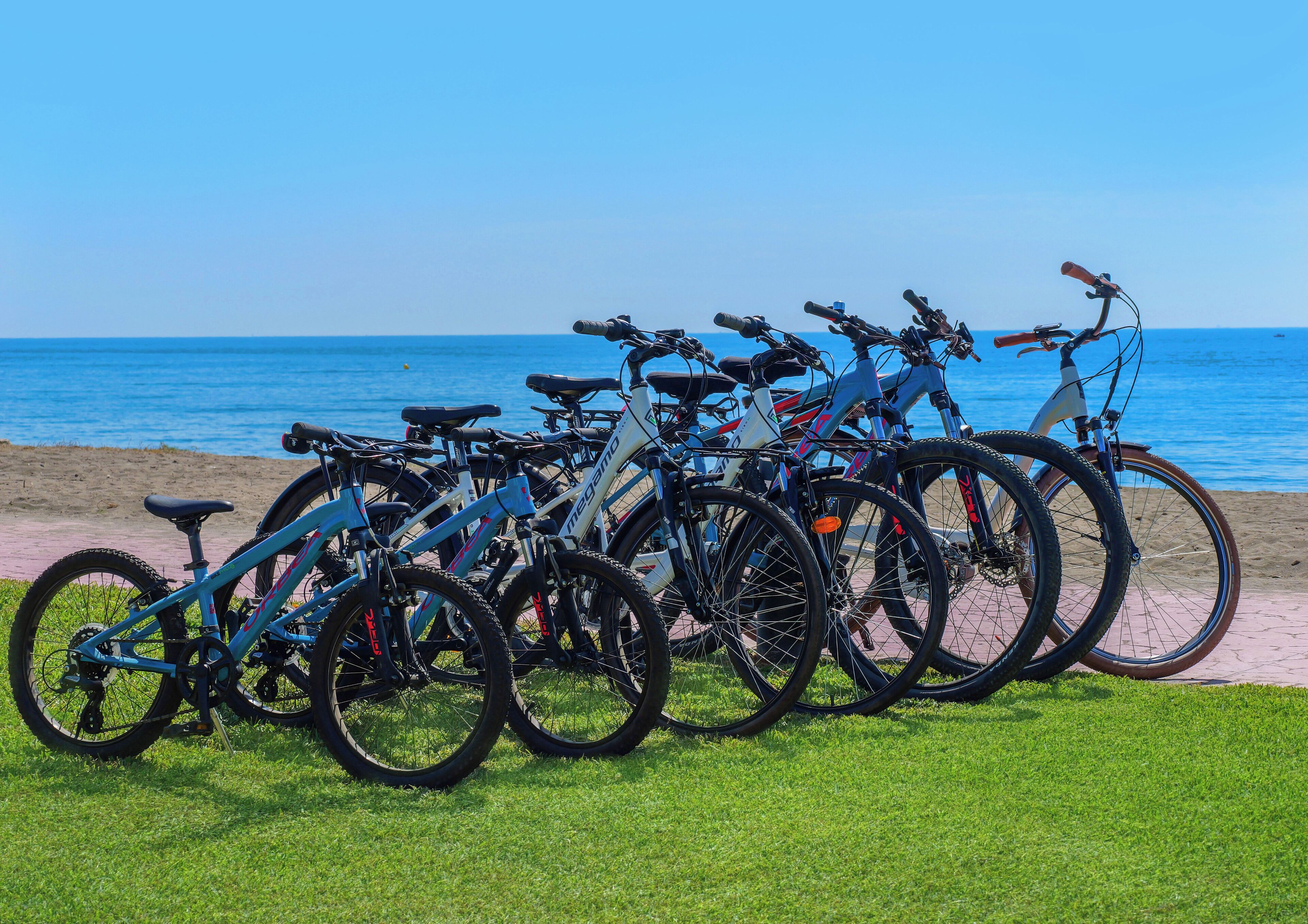 Plage, chaises longues