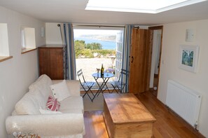 Älytelevisio, takka, DVD-soitin, kirjoja