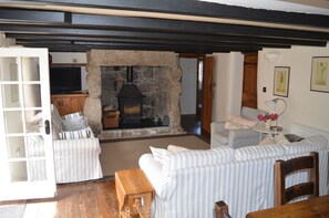 Smart TV, fireplace, DVD player, books