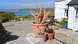 Un patio de piedra con macetas y plantas, y un edificio blanco con techo de paja.