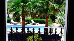 Vista de una zona de piscina con palmeras y sillones de descanso.
