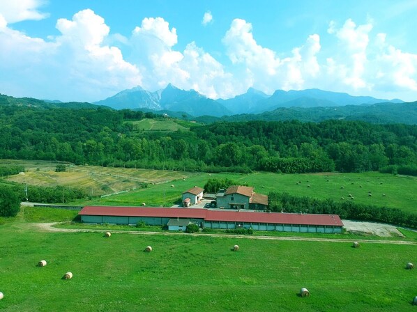 Golf - "La Cantina" Apartment at Agriturismo La Preduscella (Moncigoli Fivizzano)