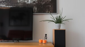 Een moderne woonkamer met een flatscreen televisie aan de muur, een houten entertainementmeubel met een speaker, en een potplant op een bijzettafeltje.
