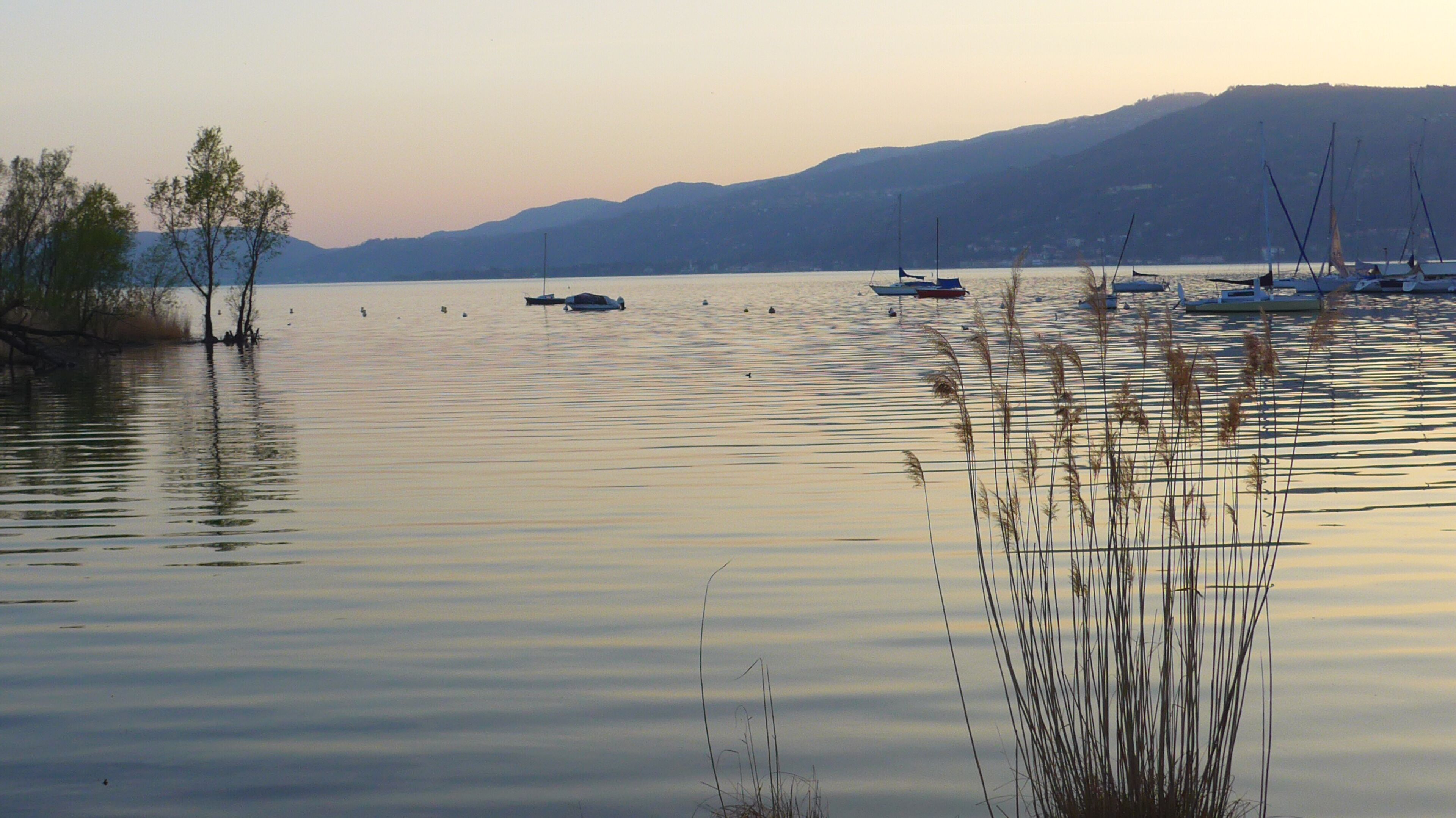 A calm lake with boats, reeds, and distant hills.