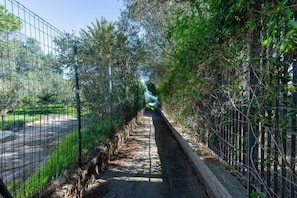 A pathway flanked by a metal fence and dense foliage, leading to a distant structure.