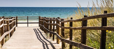 Vue sur la plage/l’océan