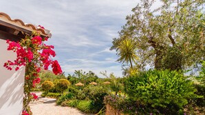 Un sendero de jardín que conduce a un edificio de fachada blanca y techo de tejas rojas.