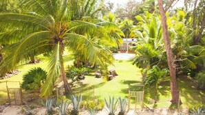 Um jardim tropical com palmeiras, uma piscina e uma área cercada com cadeiras.