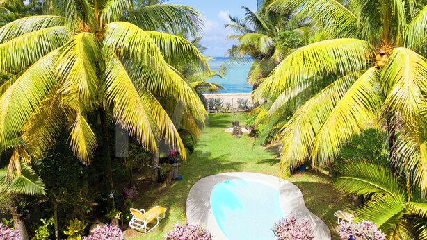 Um jardim tropical com piscina, palmeiras e vista para o oceano.