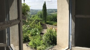 Une vue à travers une fenêtre sur un jardin où l’on peut admirer une grande variété de plantes et un paysage lointain.