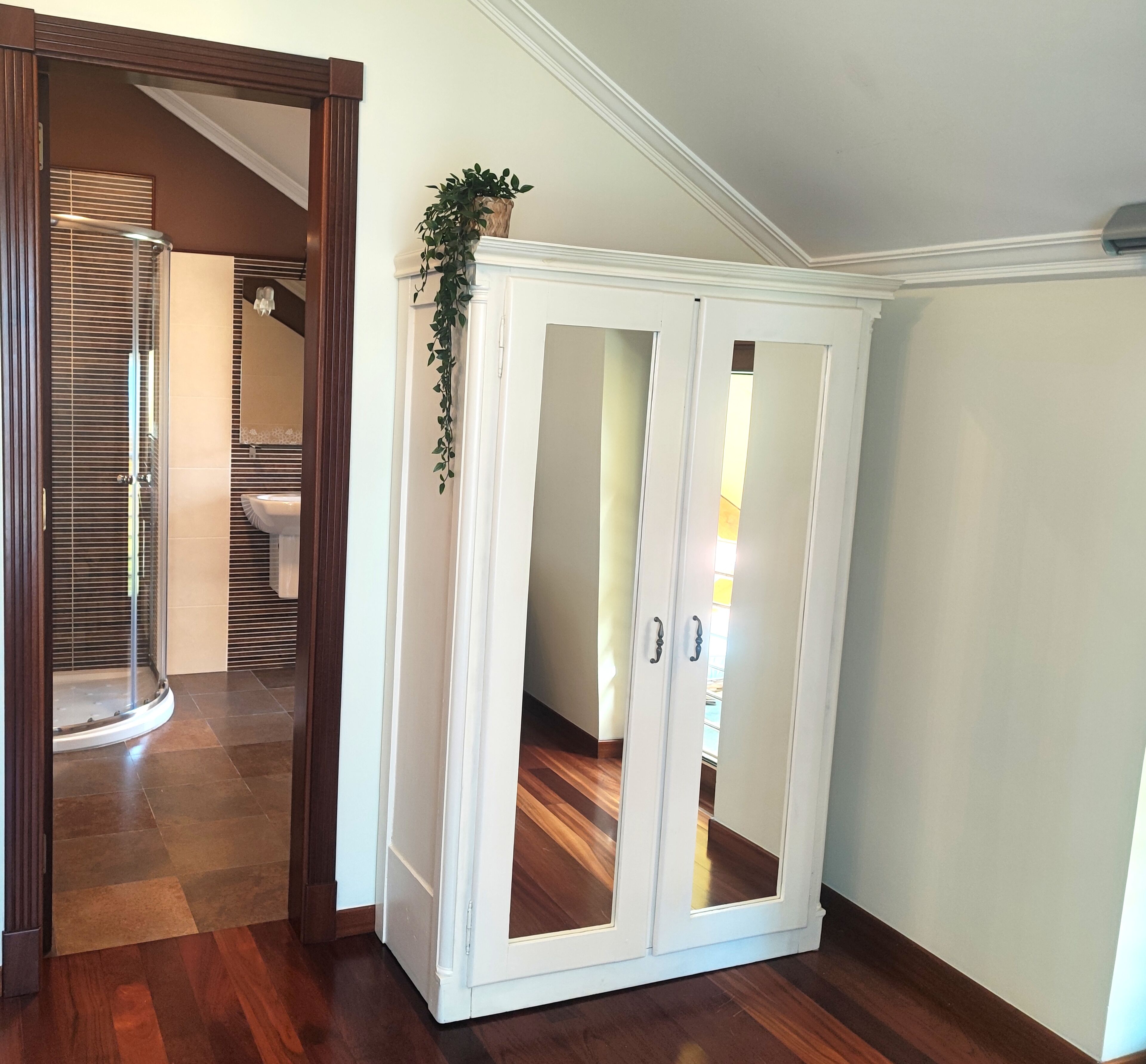 A white wardrobe with glass doors, a potted plant on top, and a wooden floor.