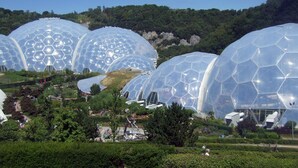 Grandes cúpulas geodésicas transparentes con un espacio central abierto, rodeadas de vegetación y un paisaje montañoso.