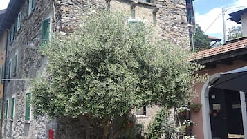 Ulkopuoli