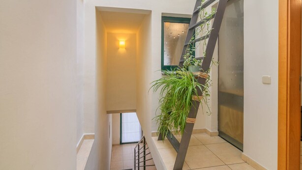 A narrow hallway with a staircase, a door with frosted glass, and a potted plant. - Rural house Montseny, Cal Metge (GUALBA)