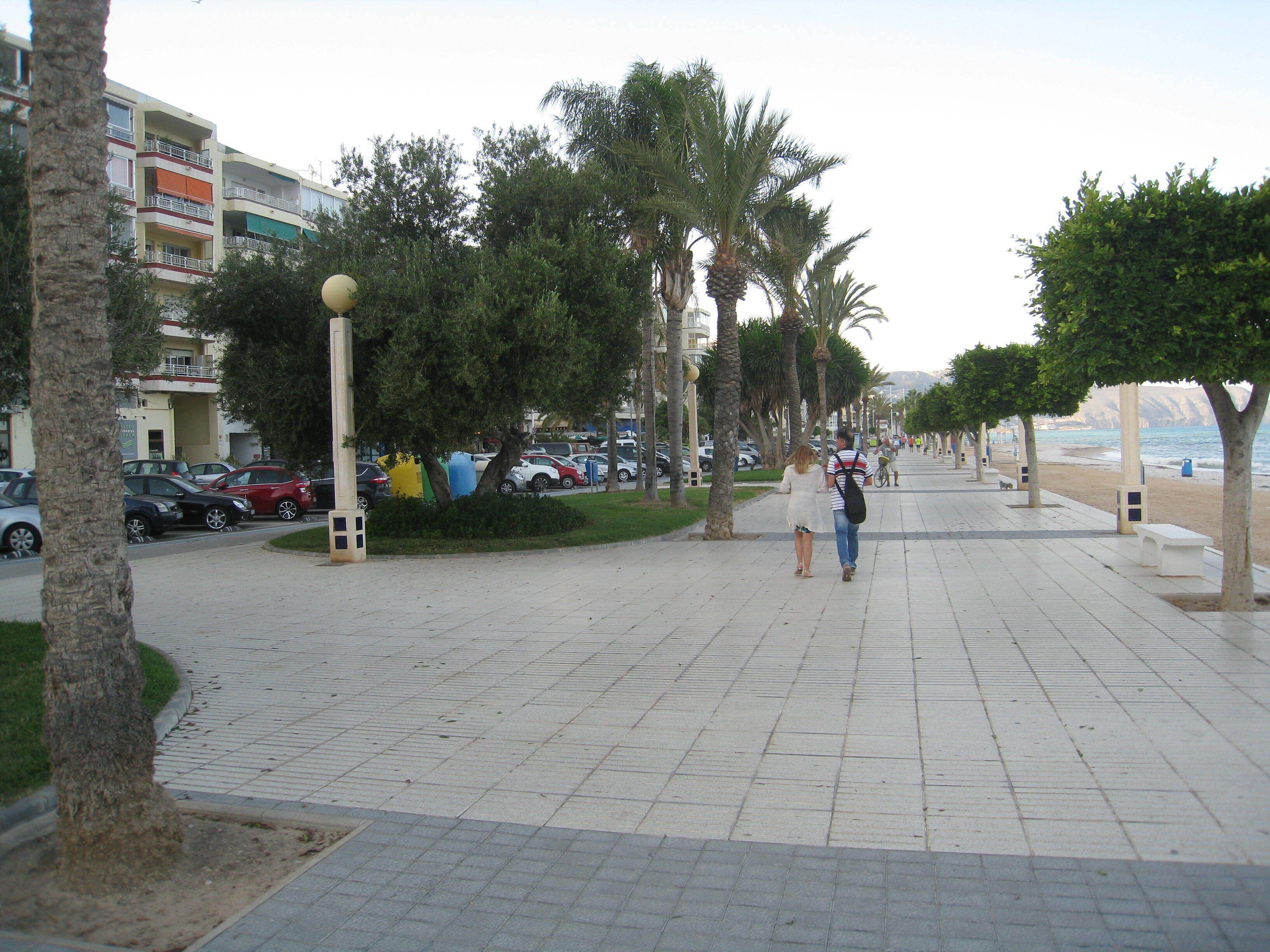 Un sendero pavimentado bordeado de palmeras y bancos, que conduce a una playa.