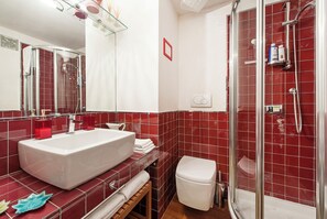 Shower, hair dryer, bidet, towels