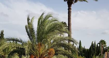 Luxury country Villa with private pool MATOLA ALGODA ELCHE ALICANTE COSTA BLANCA