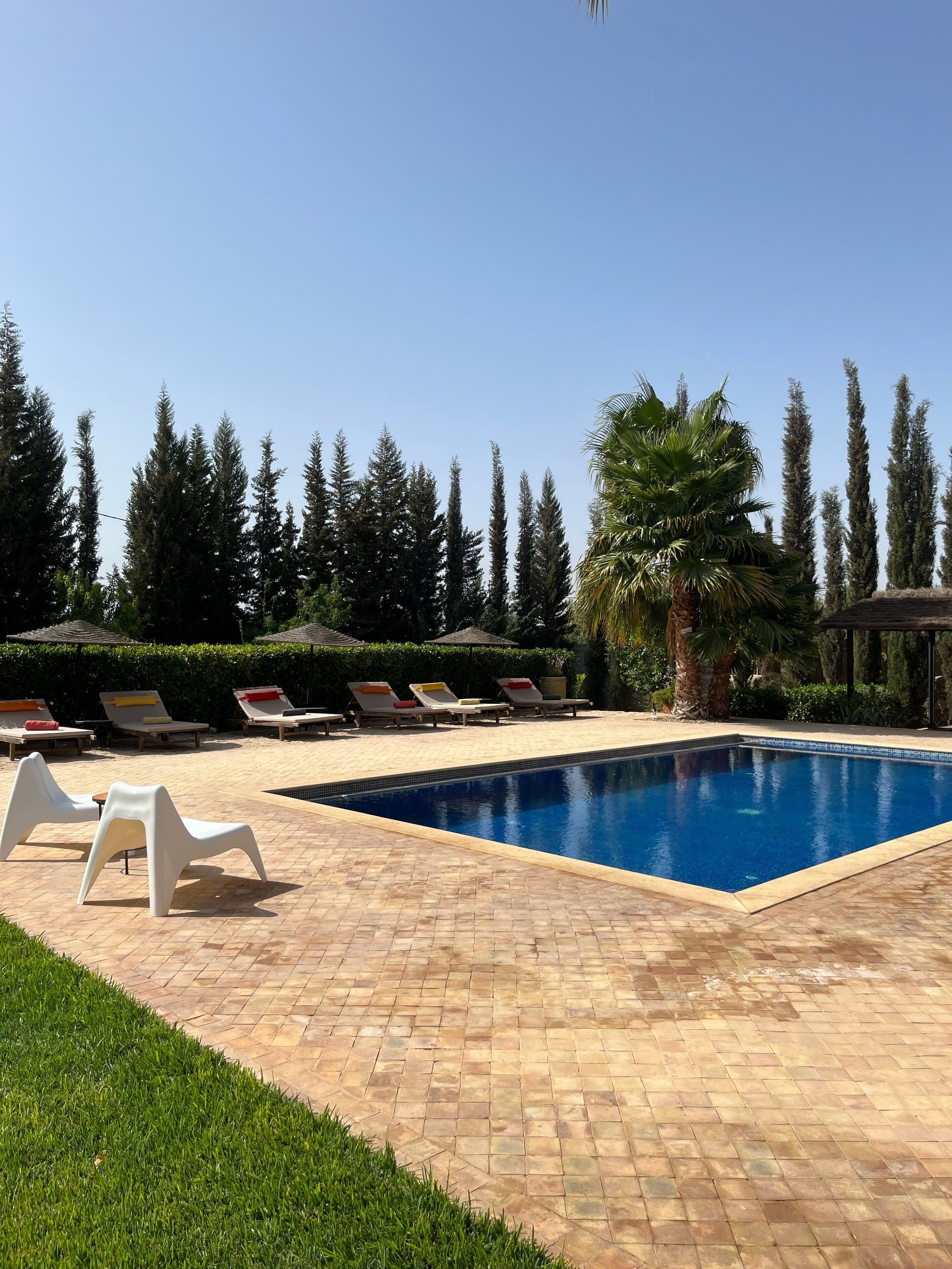 A swimming pool with lounge chairs and palm trees.