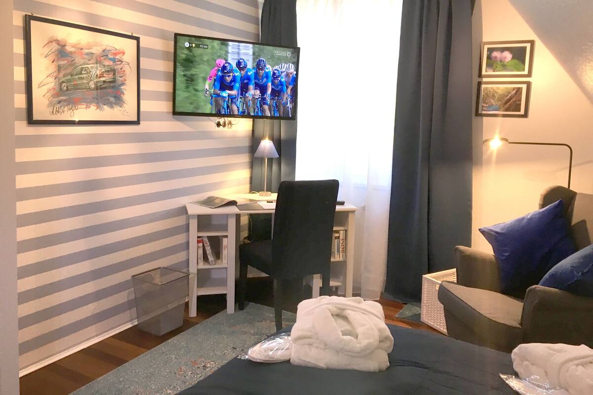 ダブルルーム ダブルベッド 1 台 (Das blaue Zimmer) | デスク、遮光カーテン、可動式ベッド、WiFi (無料)