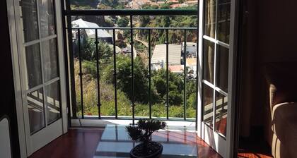 lovely apartment with sea view in quiet area of Funchal