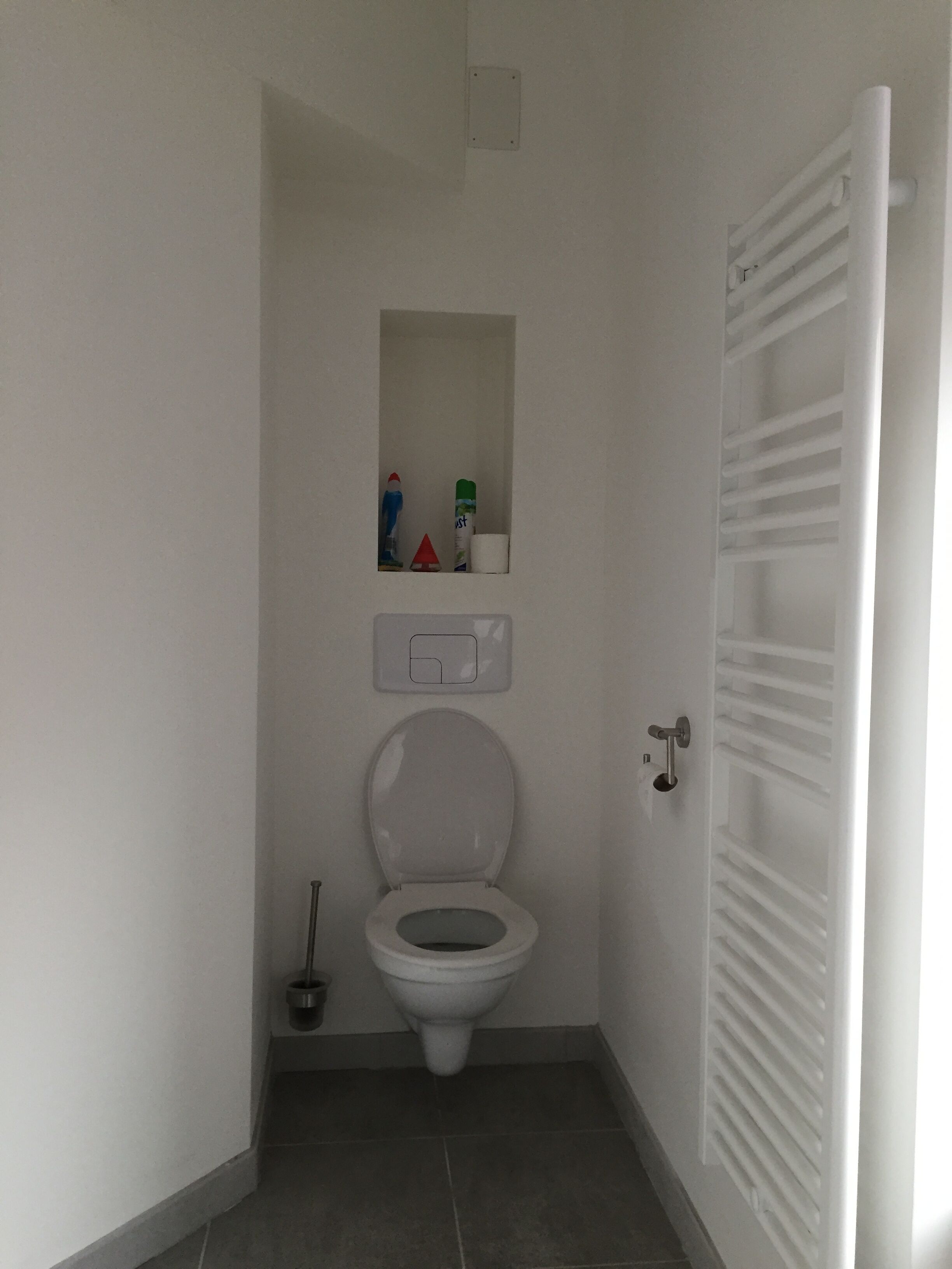 Un baño pequeño y blanco con inodoro, un estante sobre el inodoro con algunos objetos y un perchero a la derecha.