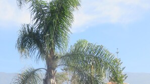 A playground with a slide and climbing structures, surrounded by palm trees and a sandy ground.