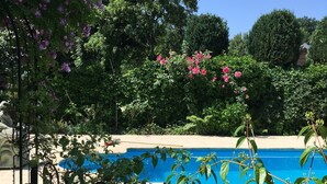 Una piscina rodeada de abundante follaje y plantas florecientes.