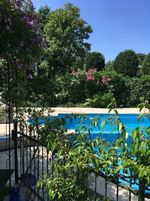 Pool - Detached house with swimming pool in a protected natural area (Den Dolder)