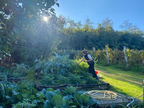 Property grounds - Lepre House (Teolo)