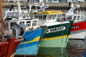 A row of boats docked at a marina.