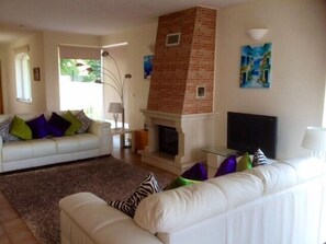 TV connectée, cheminée, lecteur de DVD, livres