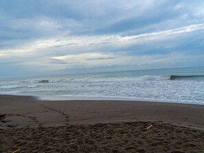 Beach nearby - Harmony Lodge in Jaco, Costa Rica (Jacó)