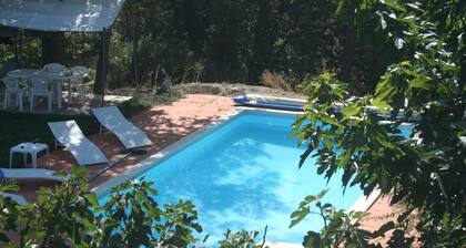 House / Villa - Aix-en-Provence