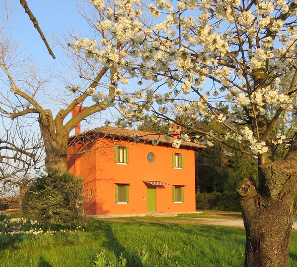 A two-story building with a red facade and green shutters, surrounded by blooming trees and a grassy lawn.