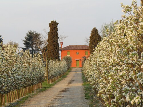 CENTURIA DAS UNTERNEHMEN 'BAUERNHAUS URLAUB, zwischen Kunst und Natur RELAX