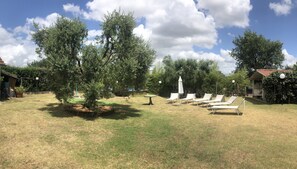 Property grounds - Holiday home with POOL near Lucca, Pisa and Florence - WI FI FREE (Orentano - Pisa)