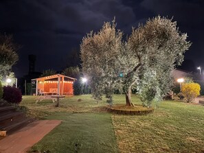 Terras