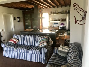 TV, fireplace, DVD player
