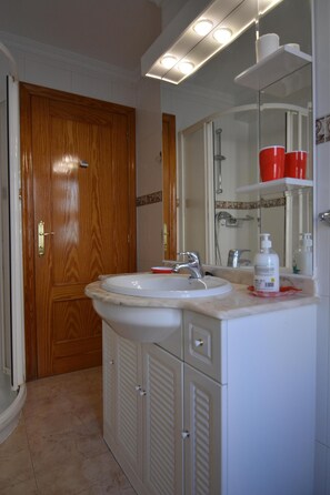 Shower, hair dryer, bidet, towels