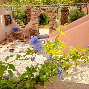 Property grounds - La Luna Blu "Owl" apartment, sea view, 500 meters from the beach (Ferma)