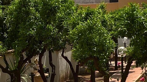 An outdoor patio area with a table and chairs, surrounded by greenery and a stone wall. - EUROLUCANIA GUESTHOUSE2 ROOM3 (Bari)