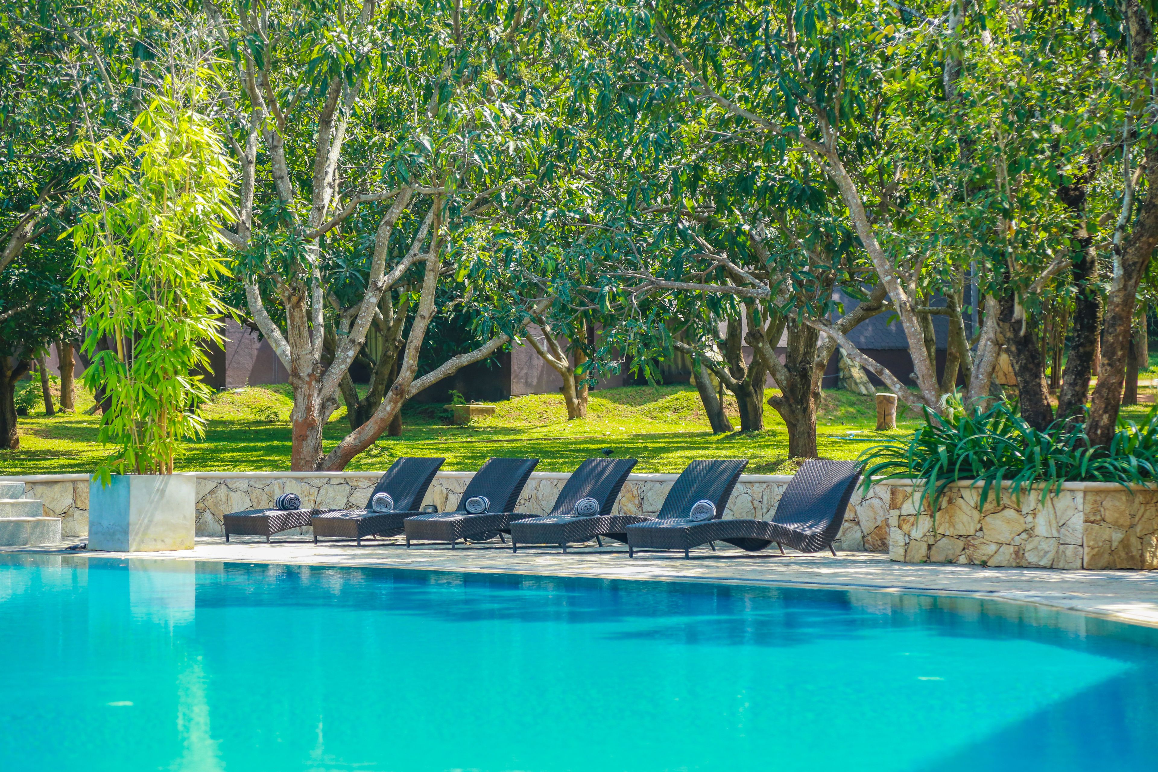 Outdoor pool, sun loungers