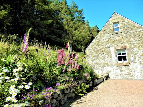 Curlew Cottage, Hawick, Scottish Borders