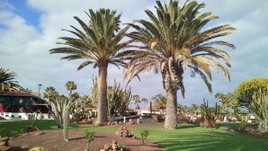 A landscaped garden with palm trees, cacti, and rocks. - Villa the path of the majorero (Antigua)