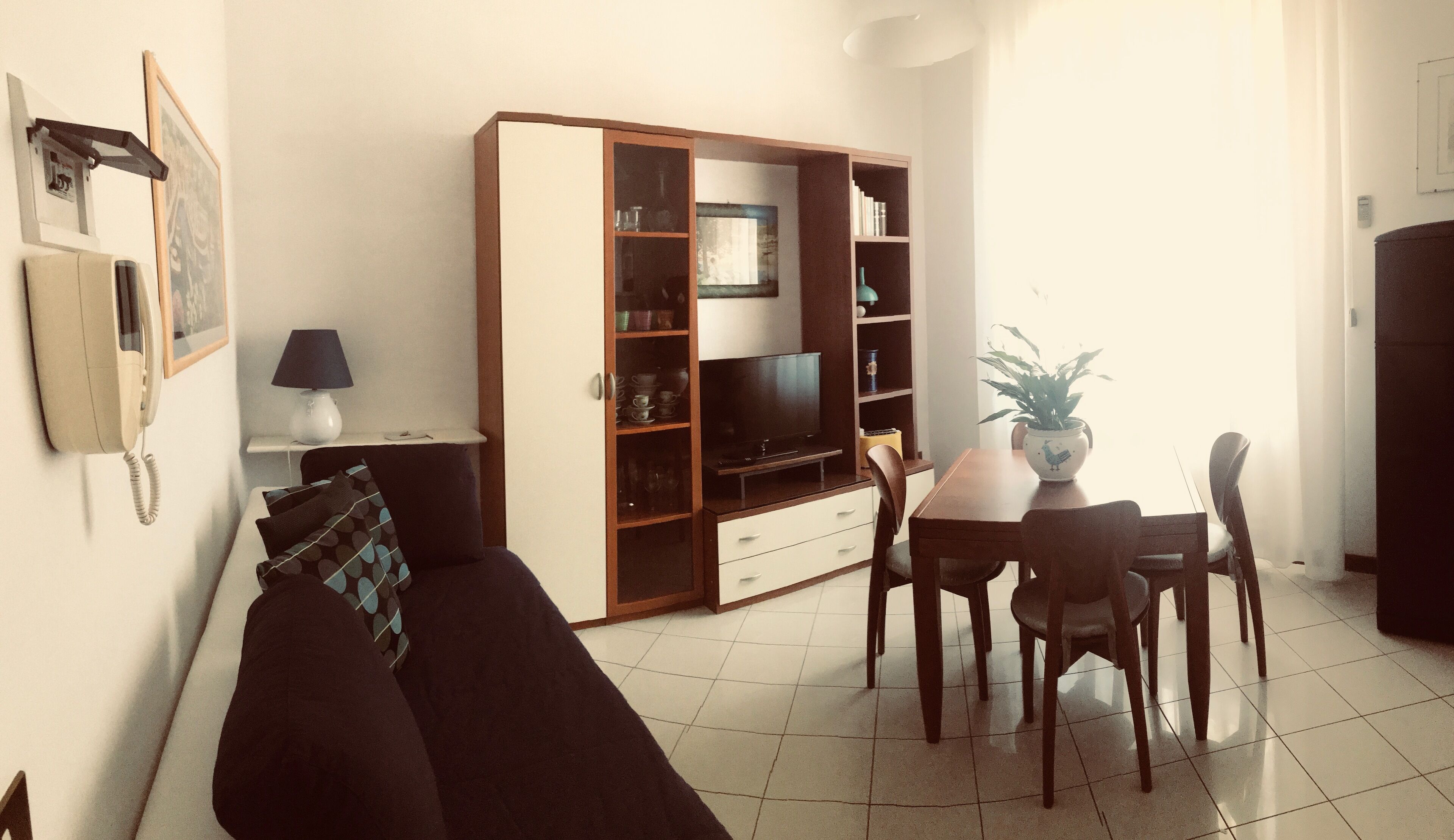 TV