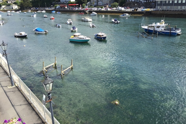 Looe estuary/harbour