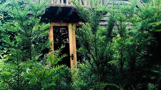 A wooden house with a balcony, surrounded by dense green foliage. - Comfortable Cosy Private Barn conversion, Own courtyard, parking, nr to station (Hertford)