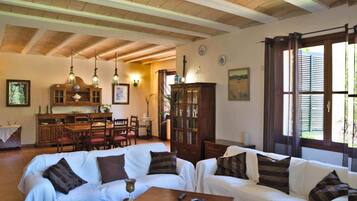 Télévision, cheminée, lecteur de DVD, chaßne hi-fi