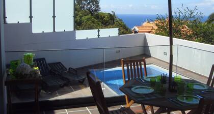 House With Pool - Tourist Zone (Funchal)